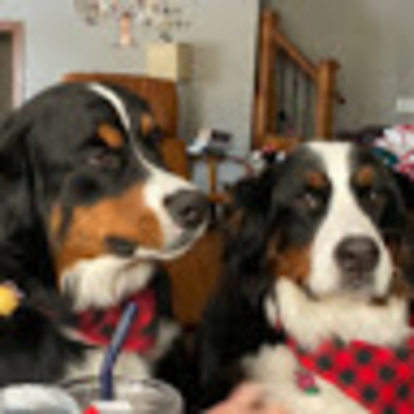 Meet your Posher, Margie - Picture 1 of 1